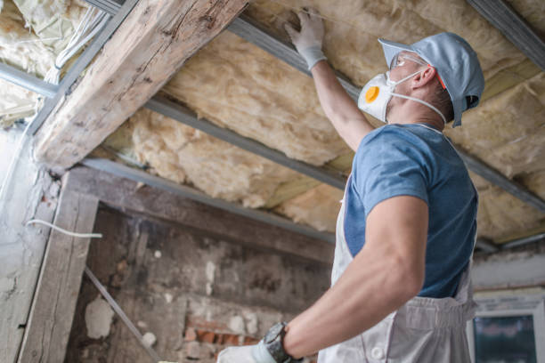 Best Insulation Installation Services in Veazie, ME